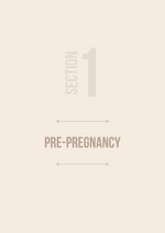 Digital Pregnancy & Mental Health Planner