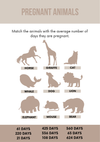 50 Baby Shower Games - Digital Download