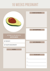 Digital Pregnancy & Mental Health Planner