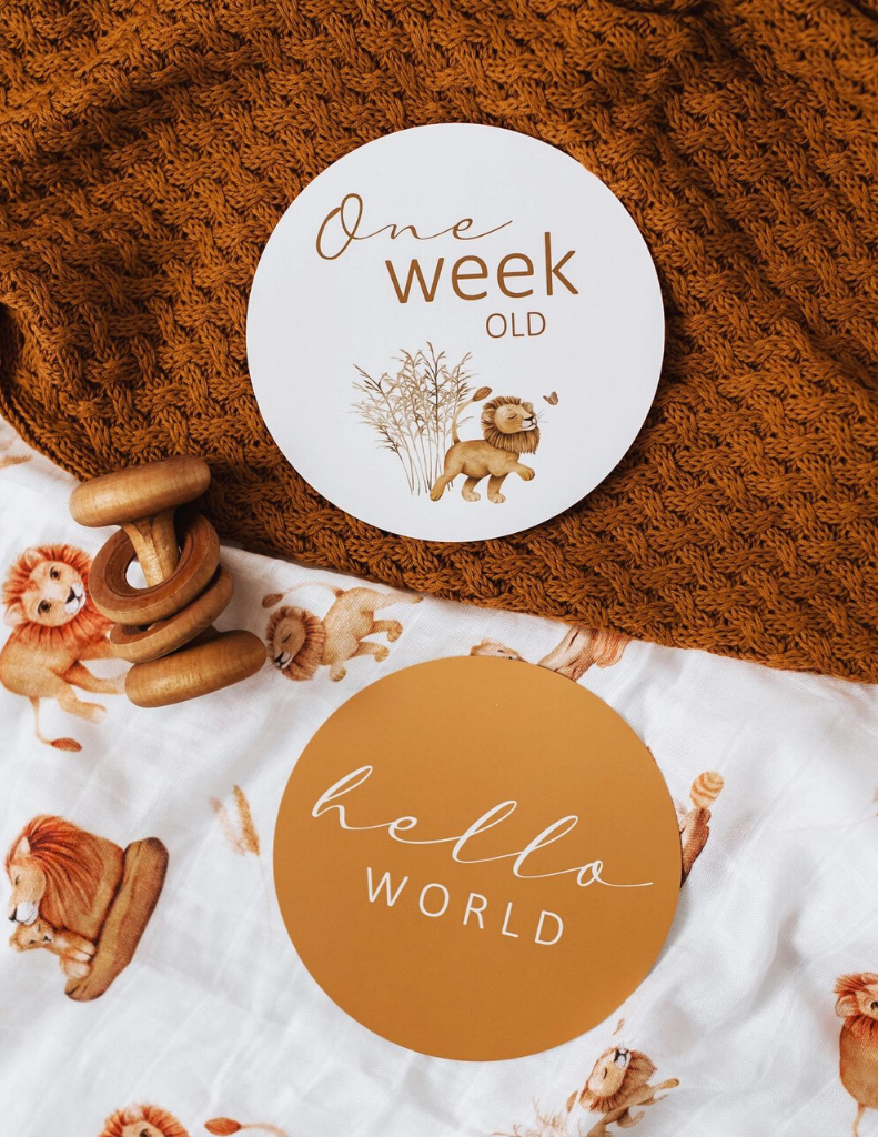 Snuggle Hunny Kids | Lion & Sunrise Gold Reversible Milestone Cards